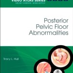 Posterior Pelvic Floor Abnormalities: Female Pelvic Surgery Video Atlas Series, 1e