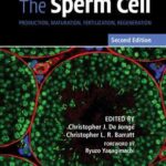 The Sperm Cell : Production, Maturation, Fertilization, Regeneration