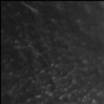 Swaiman’s Pediatric Neurology: Principles and Practice 7th Edition