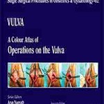 Vulva: A Colour Atlas of Operations on the Vulva (Volume 2)