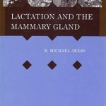 Lactation Mammary Gland